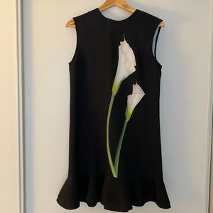 Victoria Beckham Dress